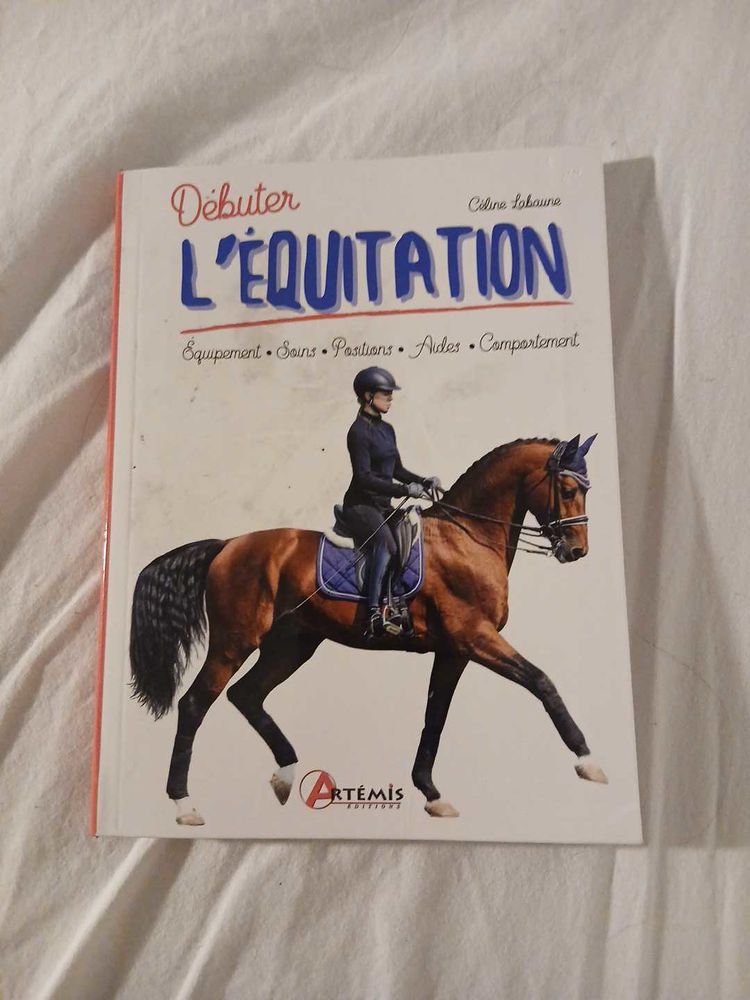 d�buter l'�quitation 12 Cr�teil (94)