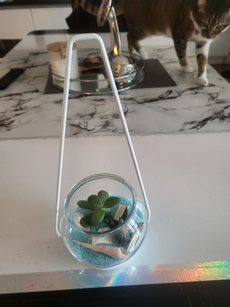 Deco dans r�cipient en verre 5 Anglet (64)
