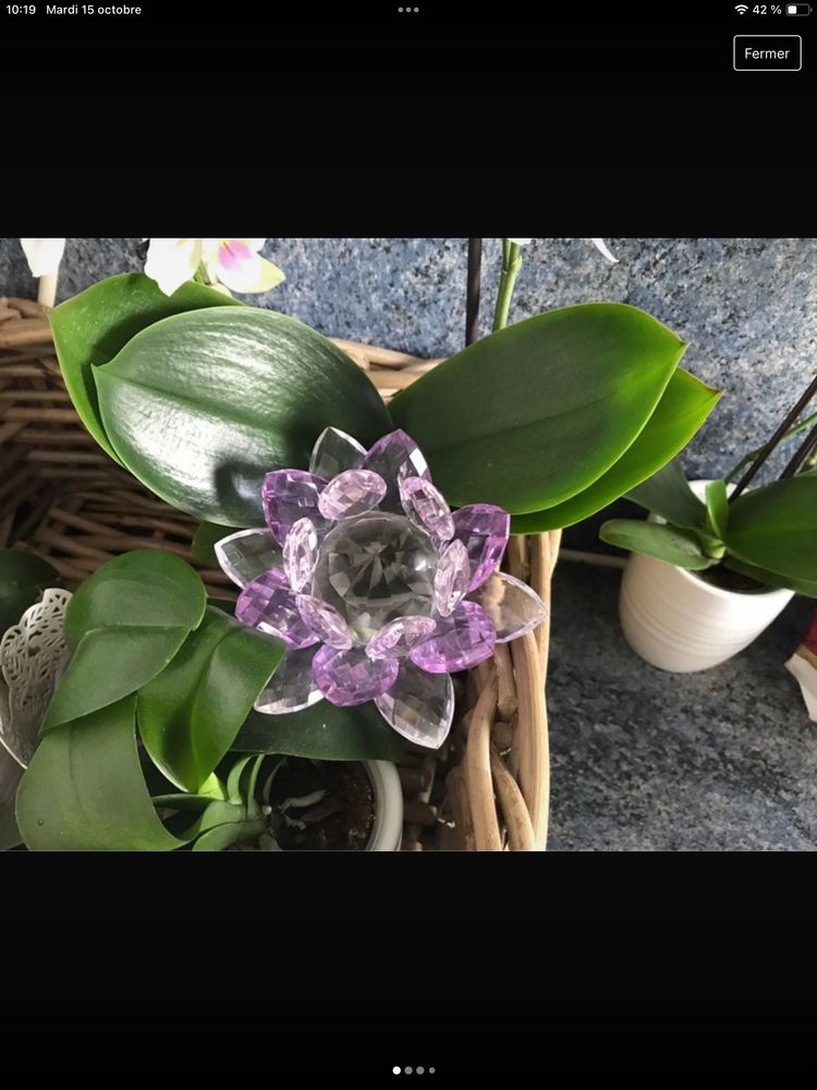 deco en verre 5 Saint-Gratien (95)