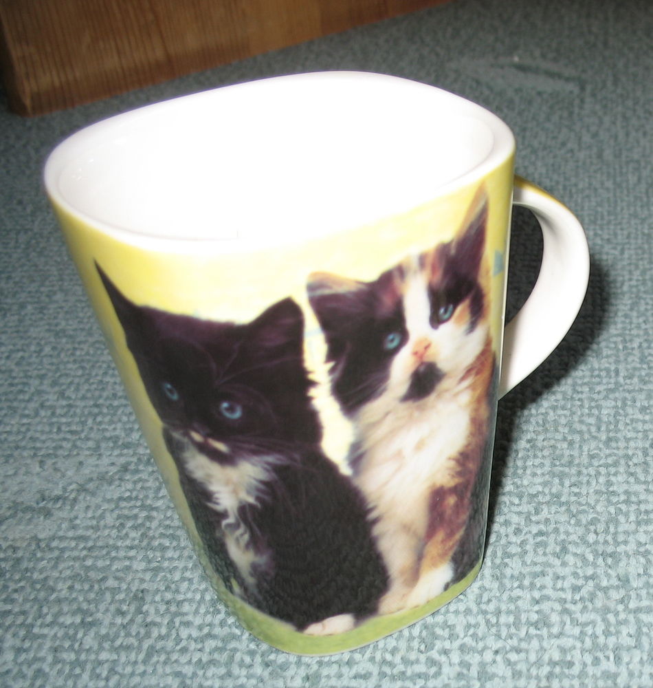 1 mug d�cor chat 2 Antony (92)