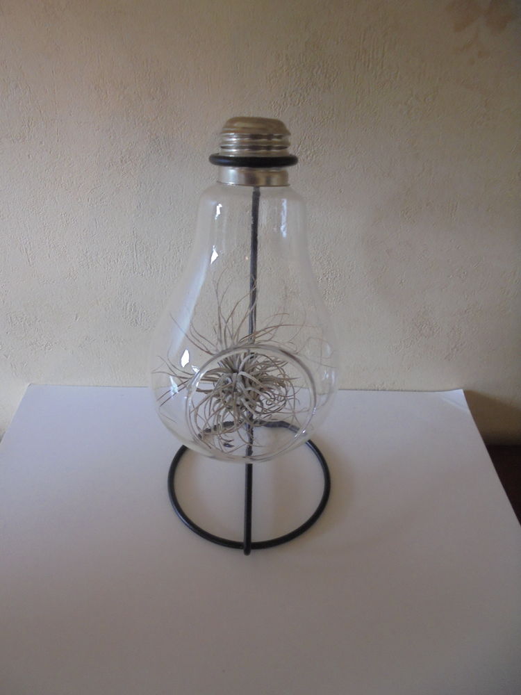 D�coration ampoule (116) 3 Tours (37)