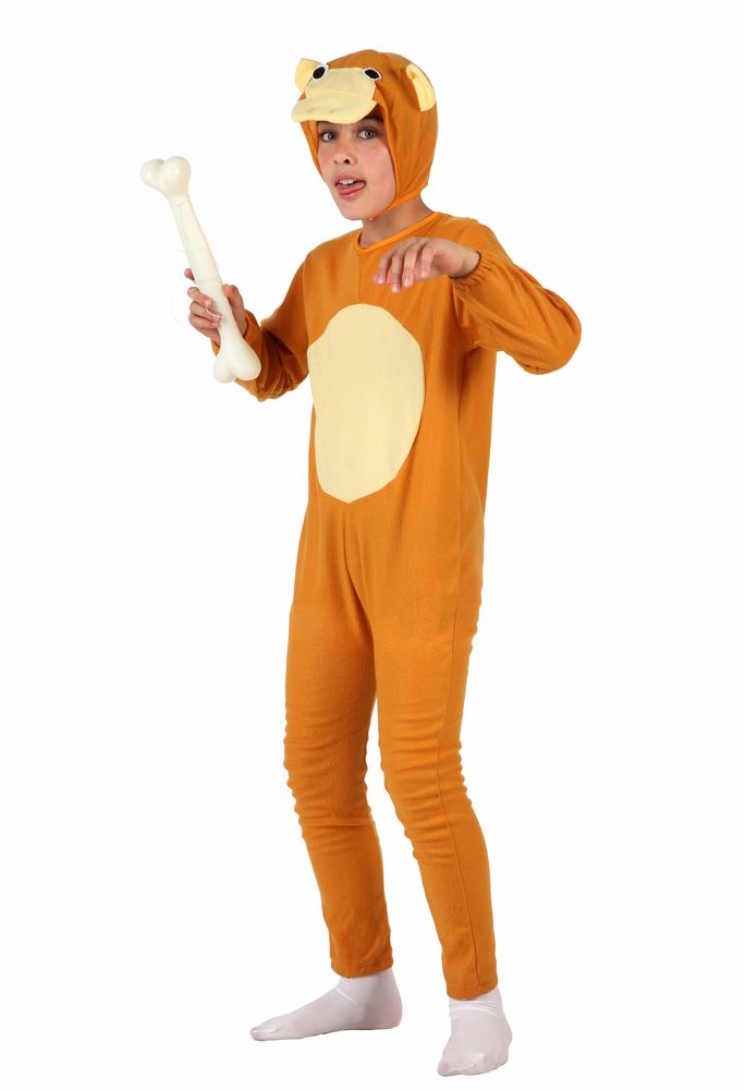 Deguisement costume enfant Chien 10 Fontenay-sous-Bois (94)