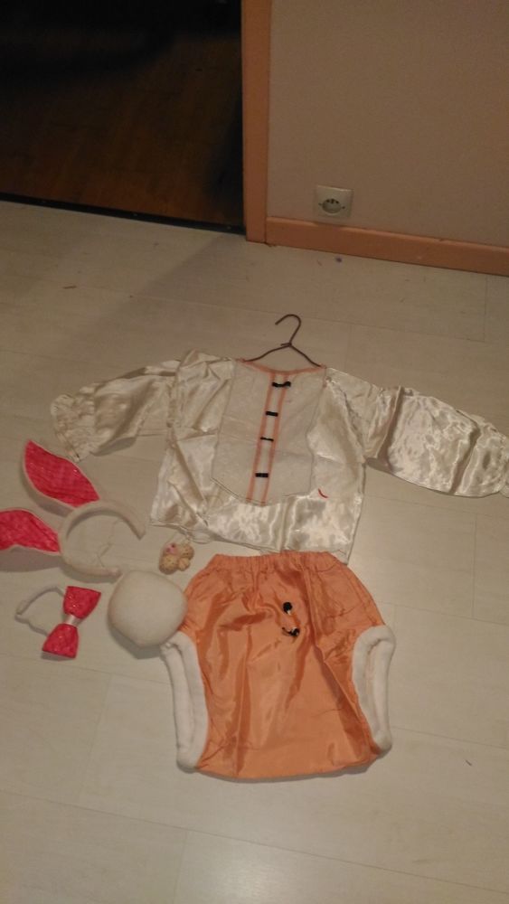 d�guisement petit lapin enfant 3/4 ans 10 Saint-Br�s (30)