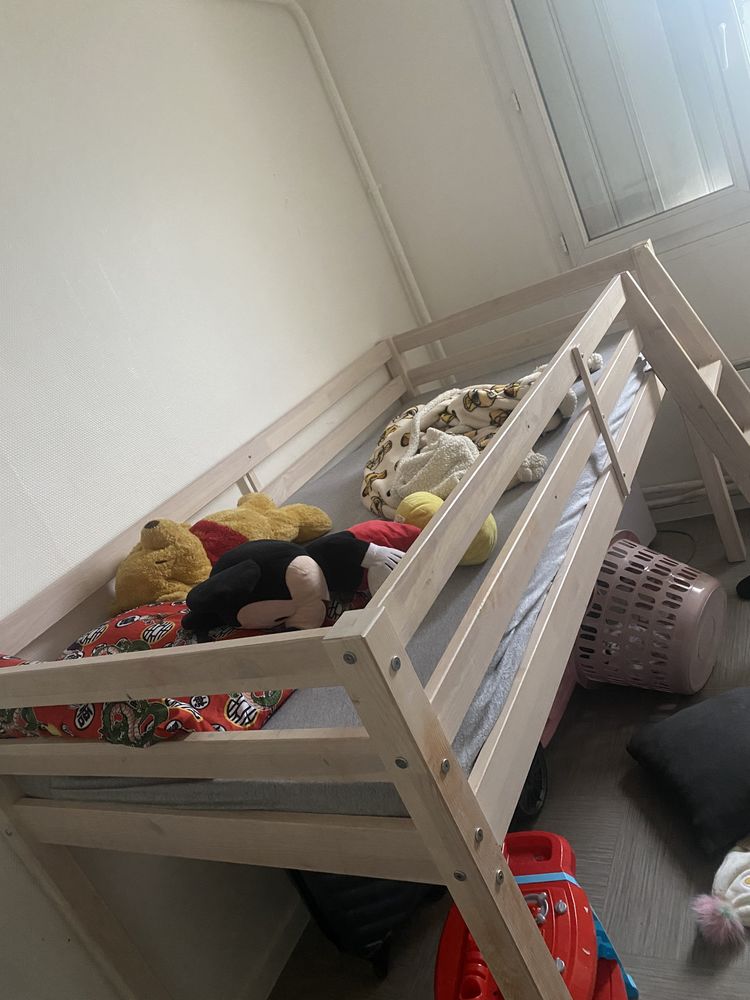 D�m�nagement 450 Orleans (45)