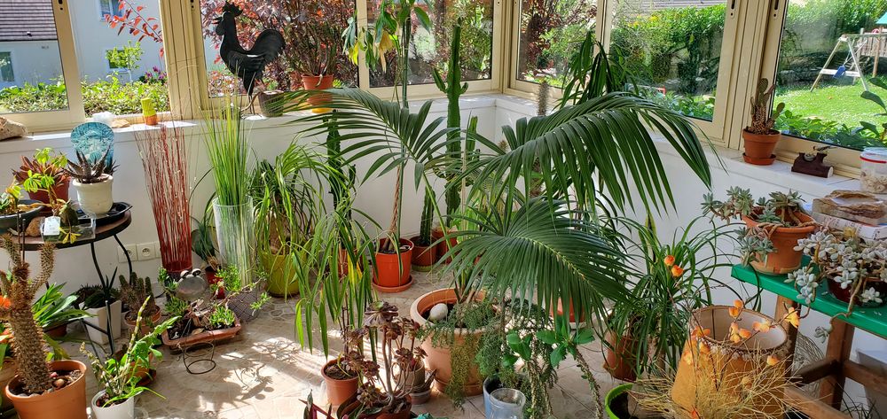 D�m�nagement 0 Nailly (89)