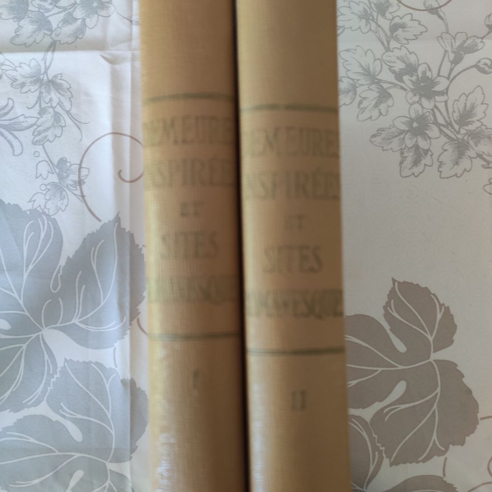 Demeures inspir�es et sites romanesques en 2  volumes 40 Frans (01)
