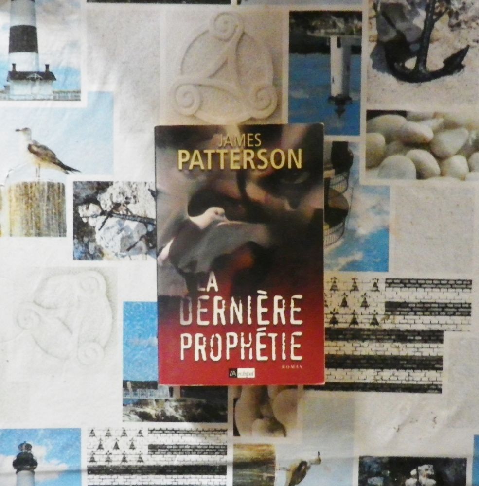 LA DERNIERE PROPHETIE de James PATTERSON 3 Bubry (56)