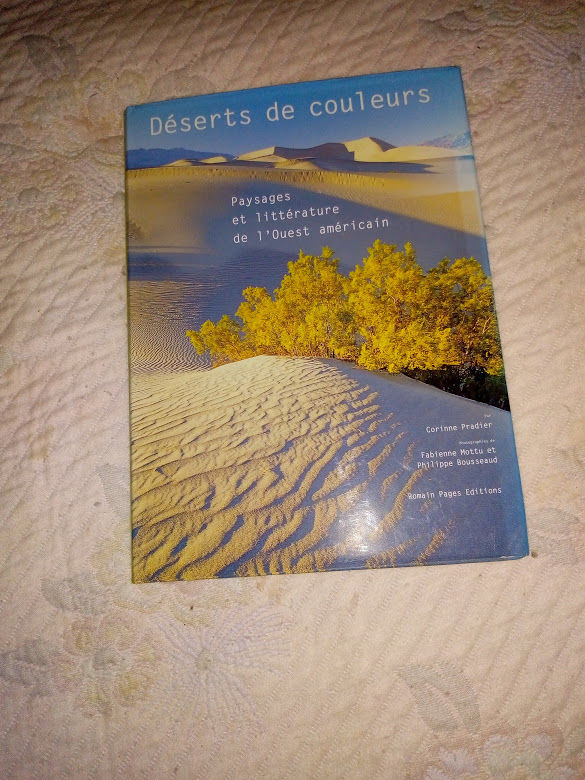 D�sert de couleurs de Corinne Pradier 15 Pluneret (56)