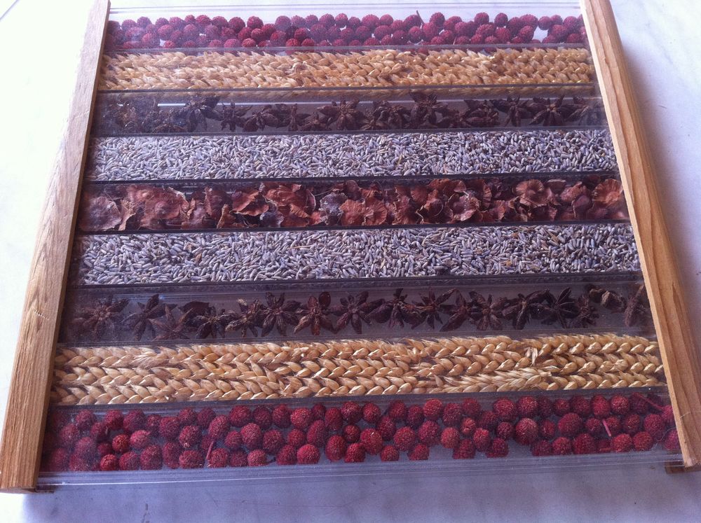  Dessous plat : les gramin�es (7038) 15 Saint-Vallier (71)