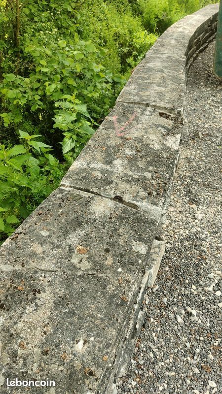 Dessus de mur 35 Rainville (88)