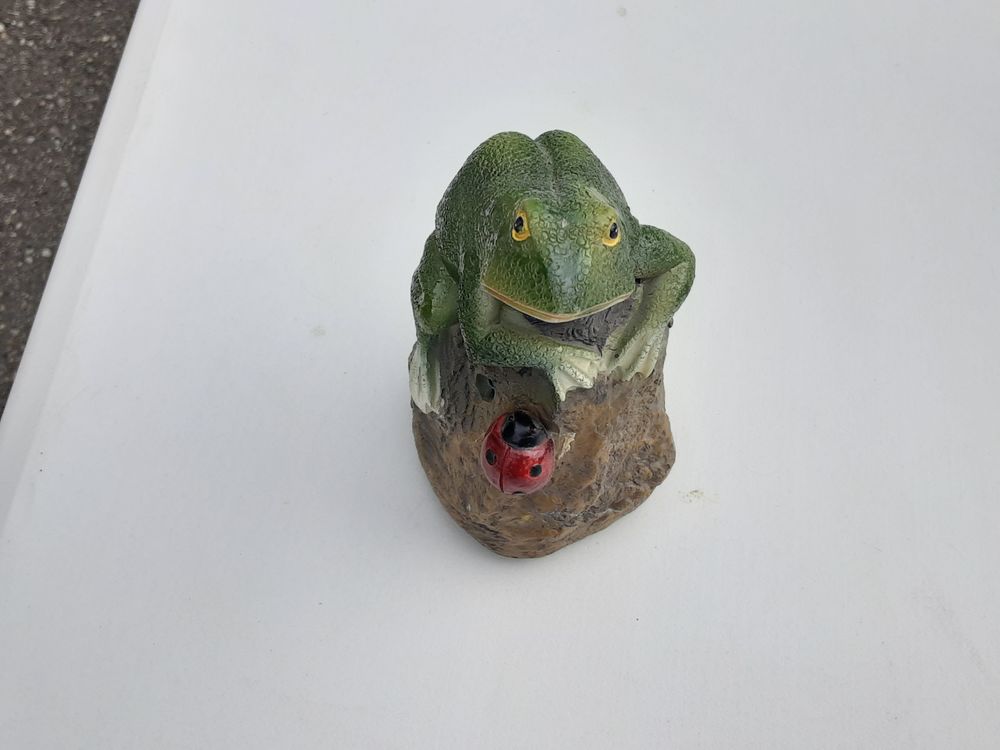 D�tecteur grenouille 3 Mauves (07)