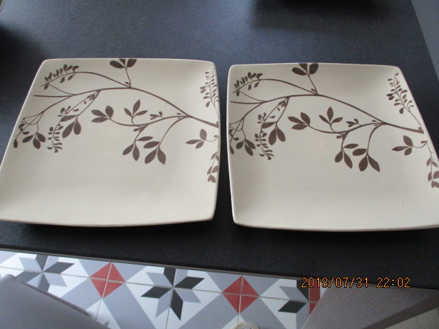 Deux assiettes tr�s plates 5 Castres (81)