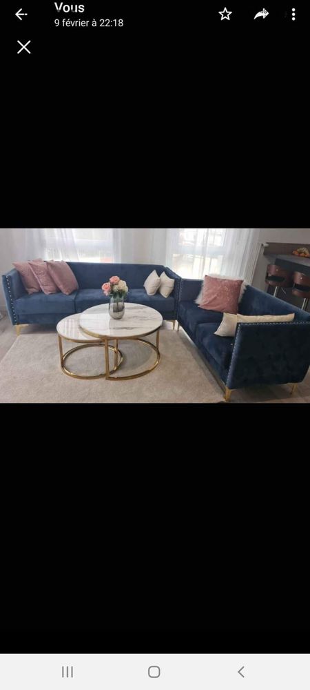 Deux Canap� anti-tache 850 Sevran (93)