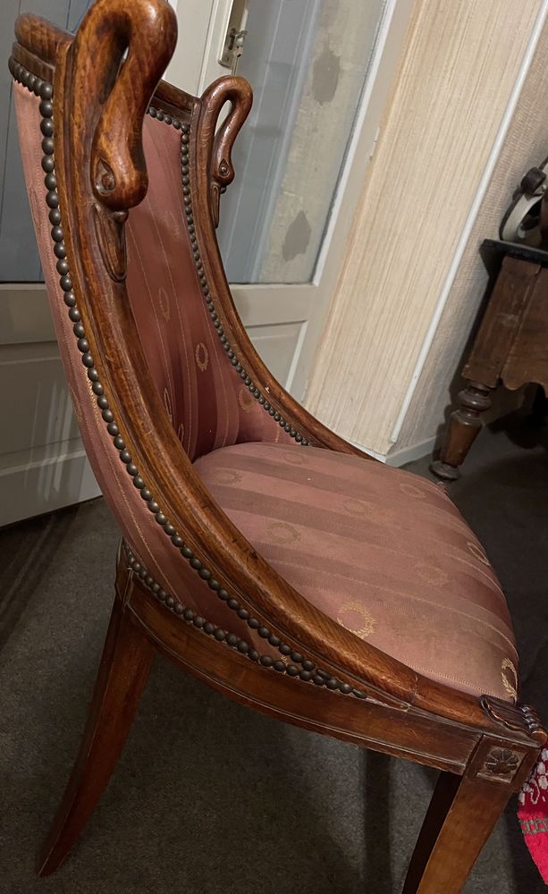 Deux chaises Cole de cignes 140 Langoiran (33)