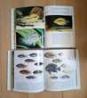 Deux Encyclopédies des poissons d'aquarium