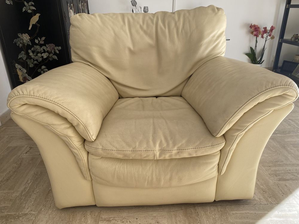 Deux fauteuils cuir beige 200 Le Cannet (06)