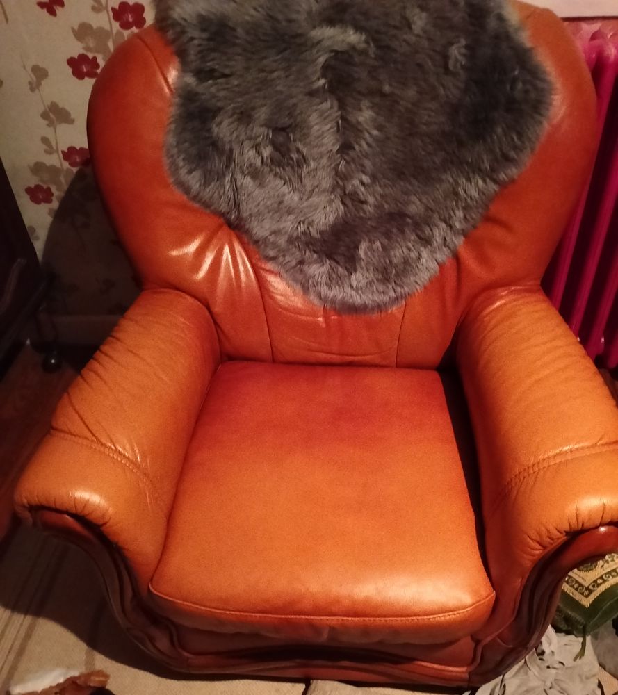 Deux fauteuils bon �tat 100 Gueugnon (71)