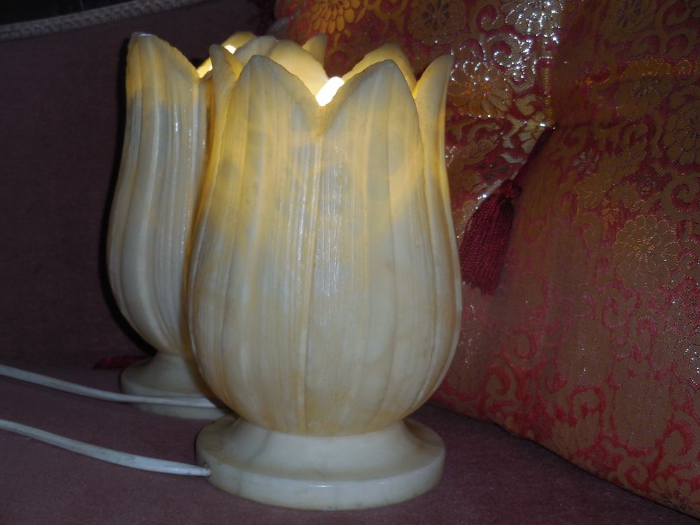 Deux jolies lampes en alabastre 20 Gardes-le-Pontaroux (16)