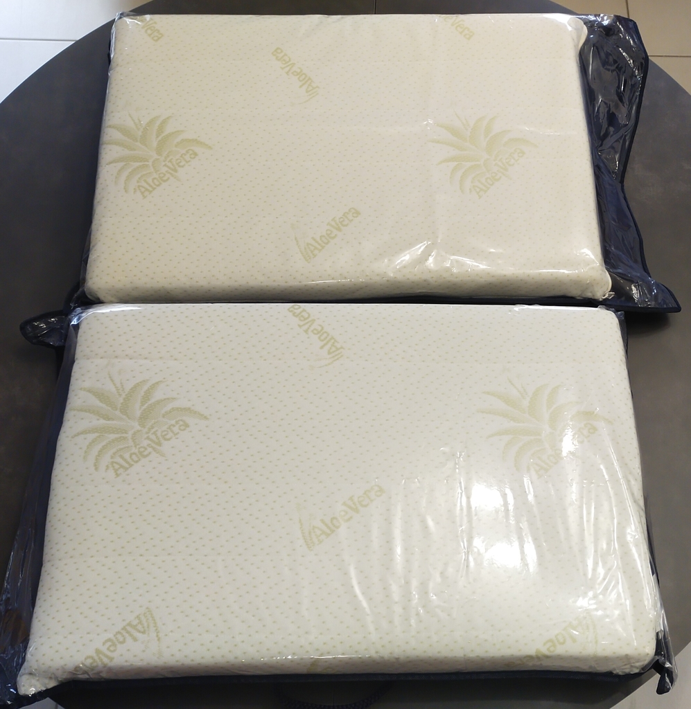 Lot de deux oreillers Aloe Vera 0 Perrignier (74)