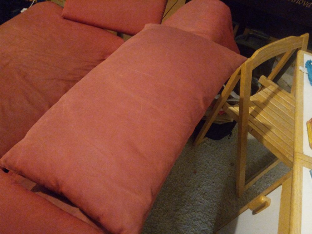Deux oreillers de canap� de la marque ligne roset 10 Paris 18 (75)