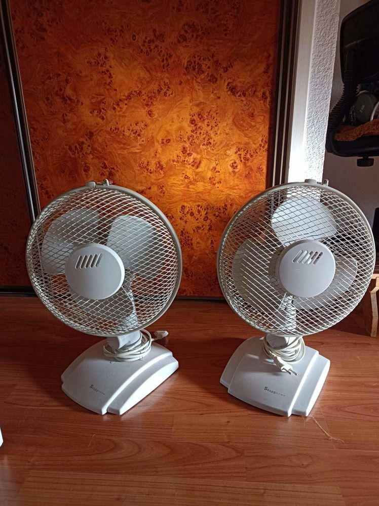 Deux petits ventilateurs Selec 5 Ch�tillon (69)