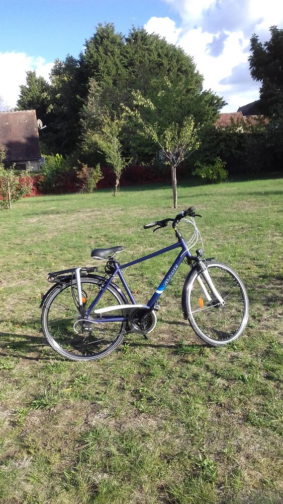 de deux v�los 
-un VTT en bon �tat, 
-un VTC neuf, 530 Fleury-la-Vall�e (89)