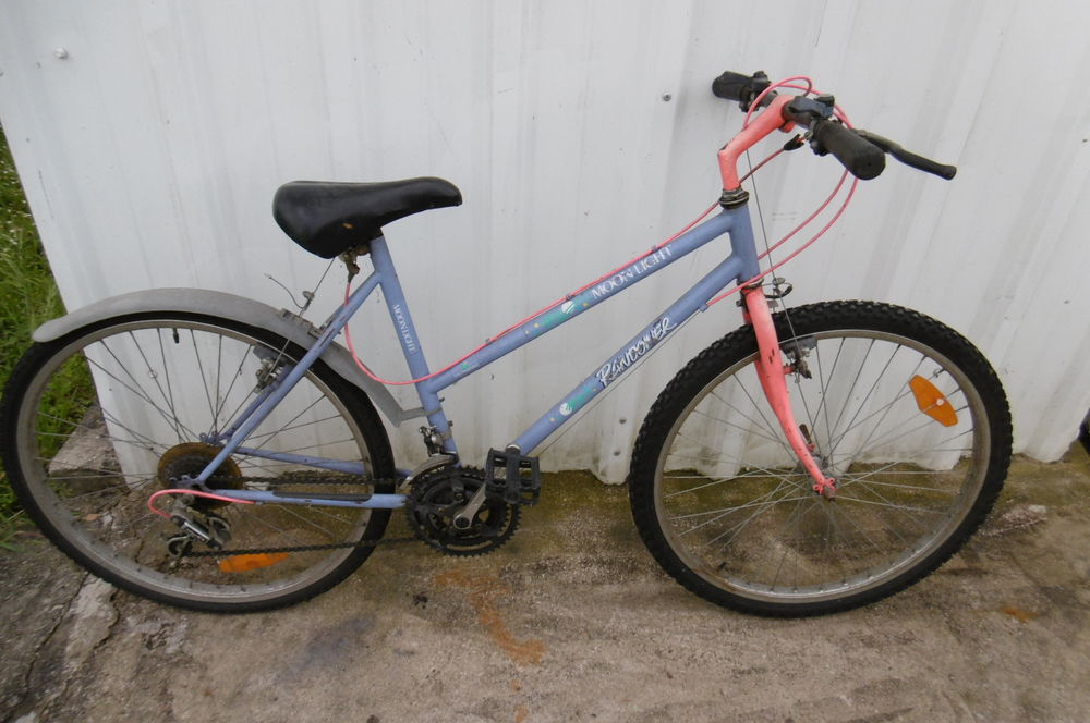 lot de deux v�los v�lo m�le et v�lo femelle 420 Assay (37)