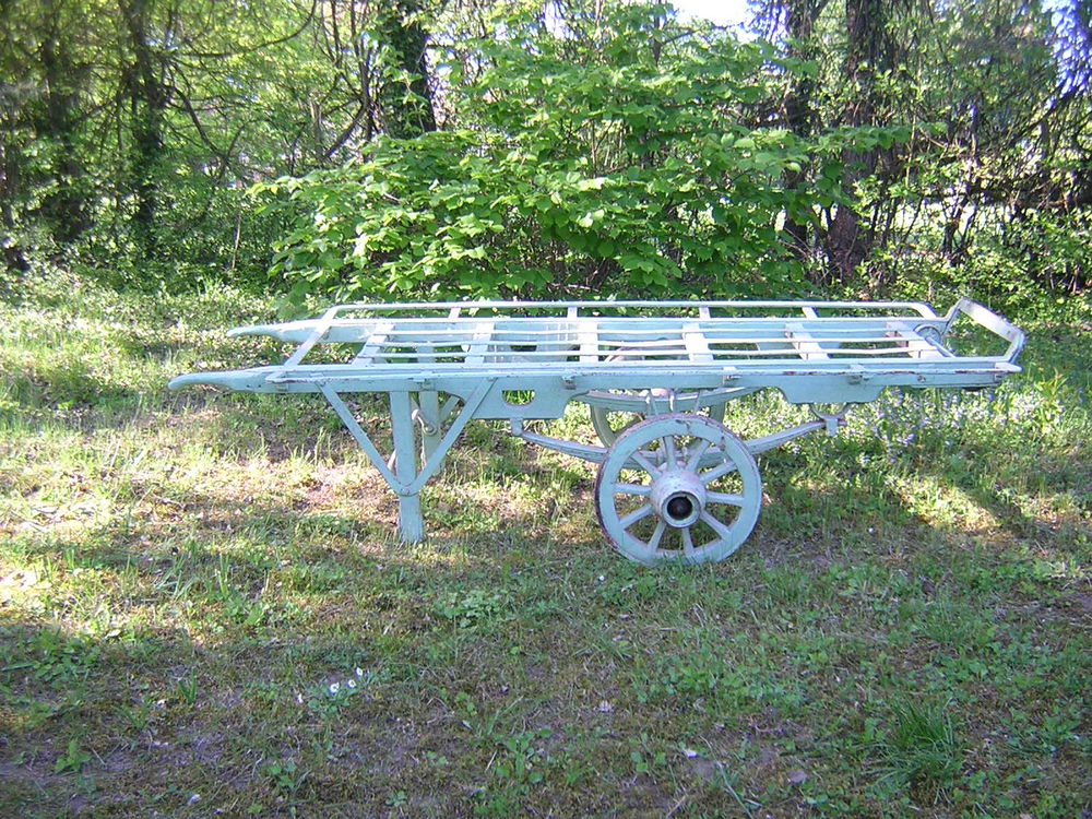  Diable de Baltard. 250 Senan (89)