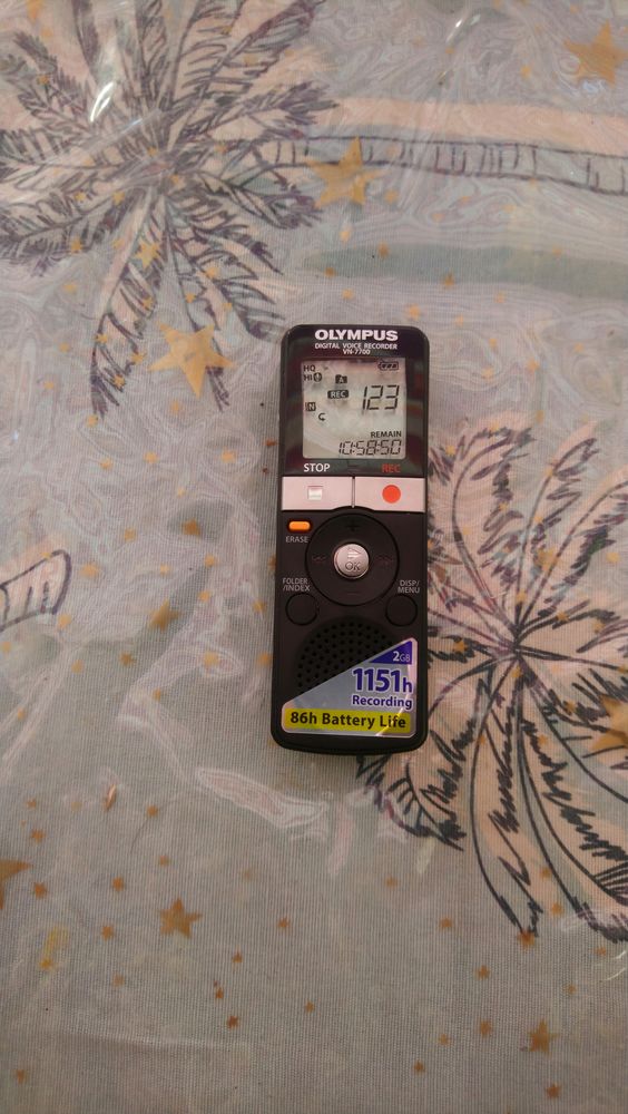 DIAPHONE 40 Rousson (30)