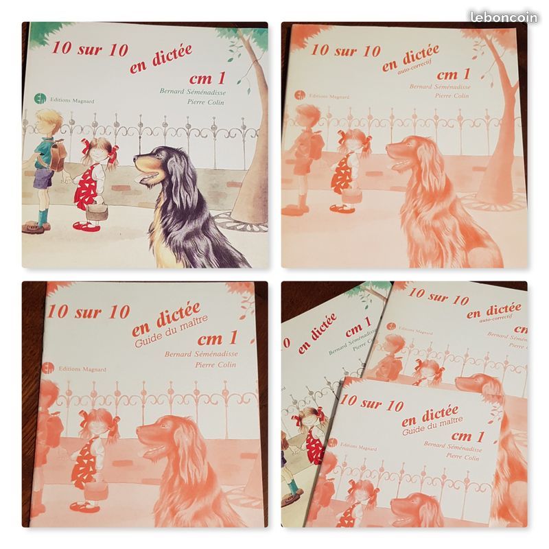 10 sur 10 en dictee edition magnard 4 Marseille 2 (13)