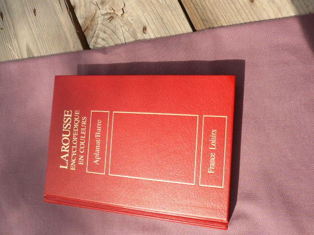 DICTIONNAIRE ENCYCLOPEDIQUE PETIT FORMAT 60 Lyon 3 (69)