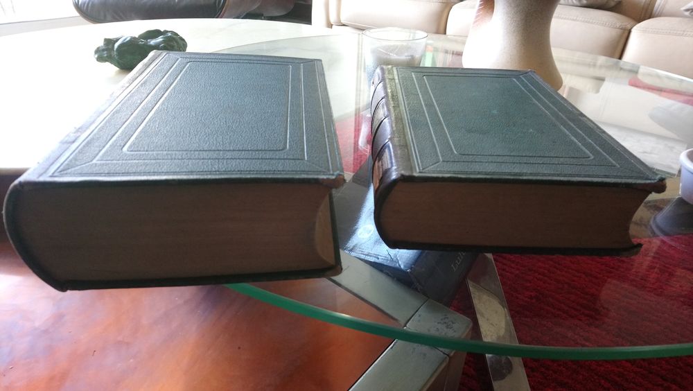 dictionnaire Hatzfeld en 2 volumes 80 Reugny (03)