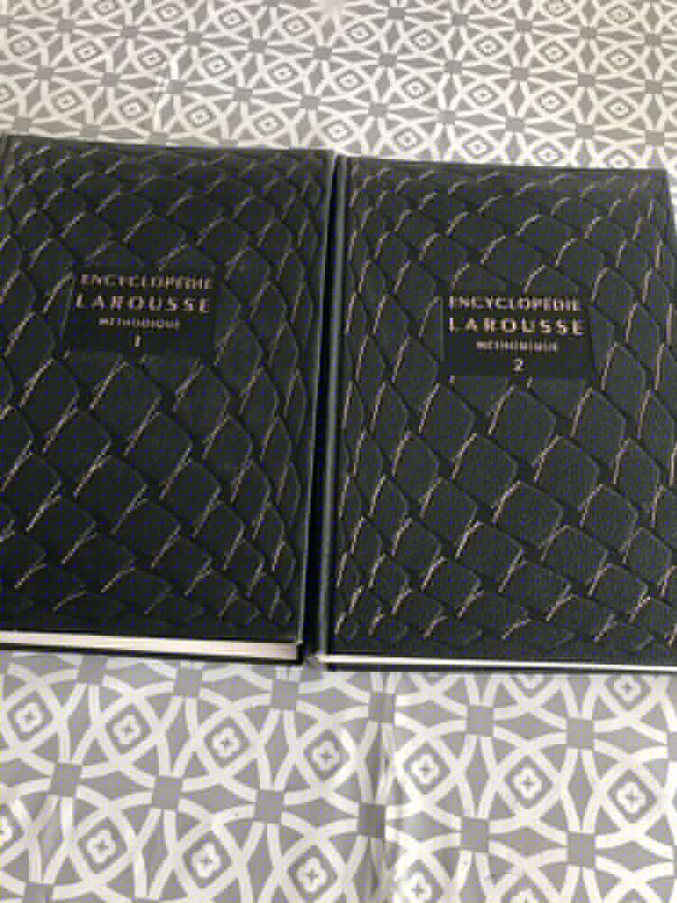 dictionnaire m�thodique 30 Lamballe (22)