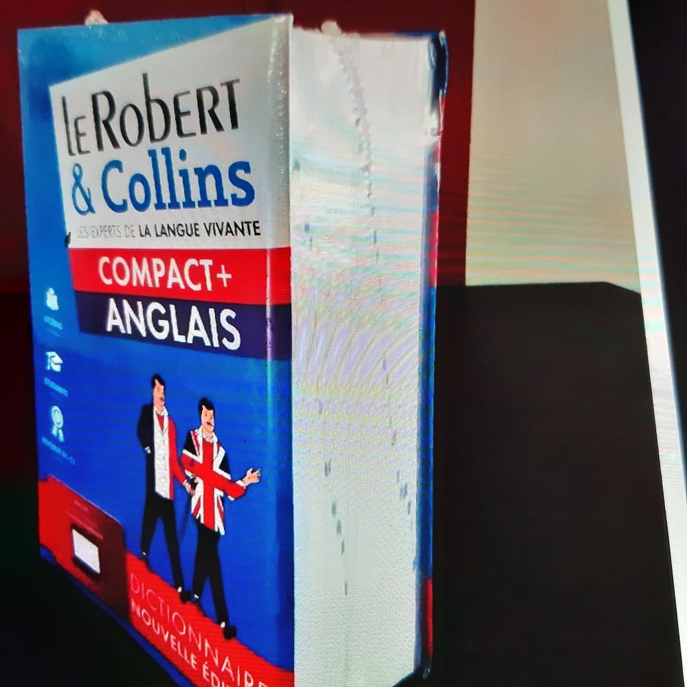Dictionnaire le Robert anglais 10 Saint-Florent-le-Vieil (49)