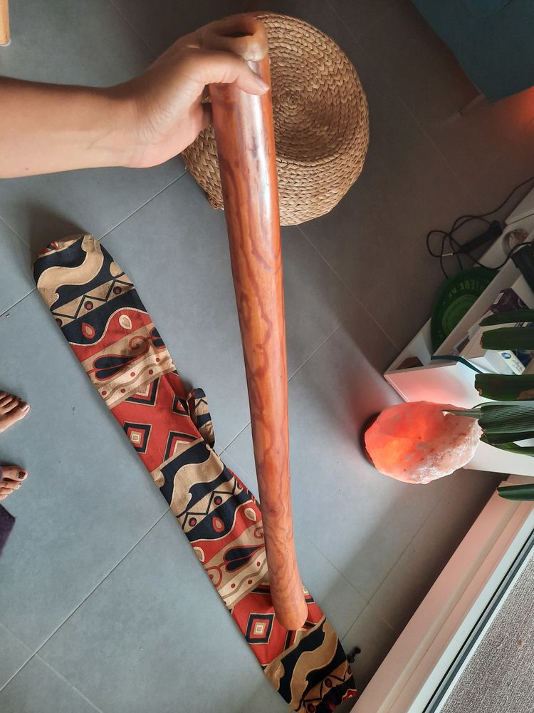 Didgeridoo 90 Blotzheim (68)