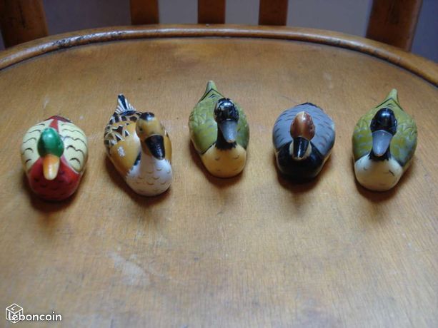 Diff�rents canards 1 M�rignies (59)