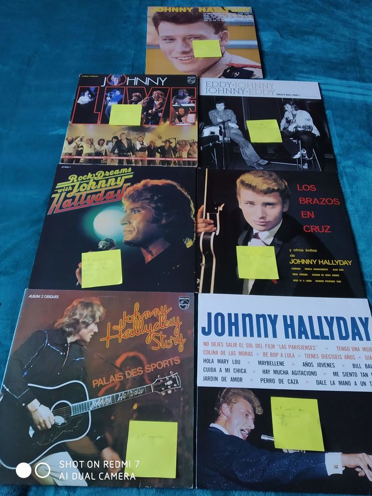diff�rents vinyles de johnny hallyday 10 Auby (59)