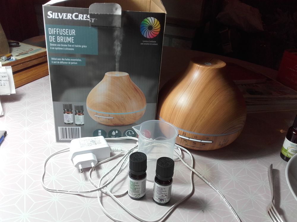 Diffuseur de brume. 10 Nonards (19)