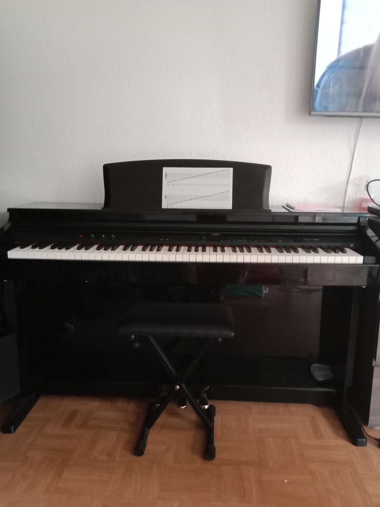 Digital piano num�rique TG8876 250 Stains (93)