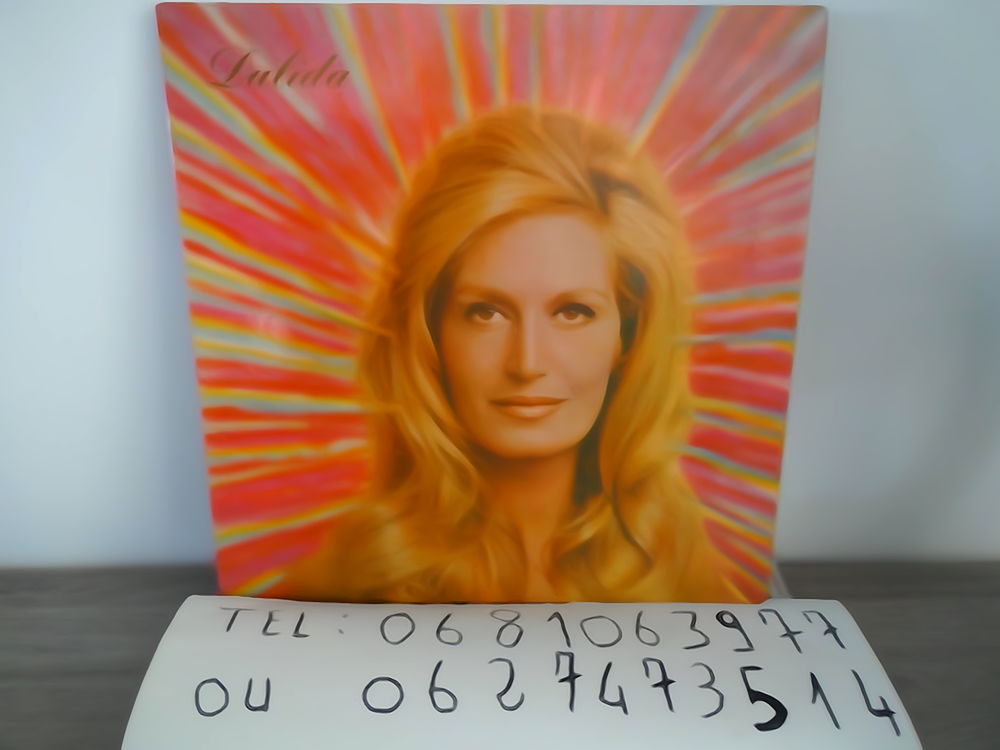 DILADA VINYLE 33 TOURS TEL / 0627473514 4 Jarnac (16)
