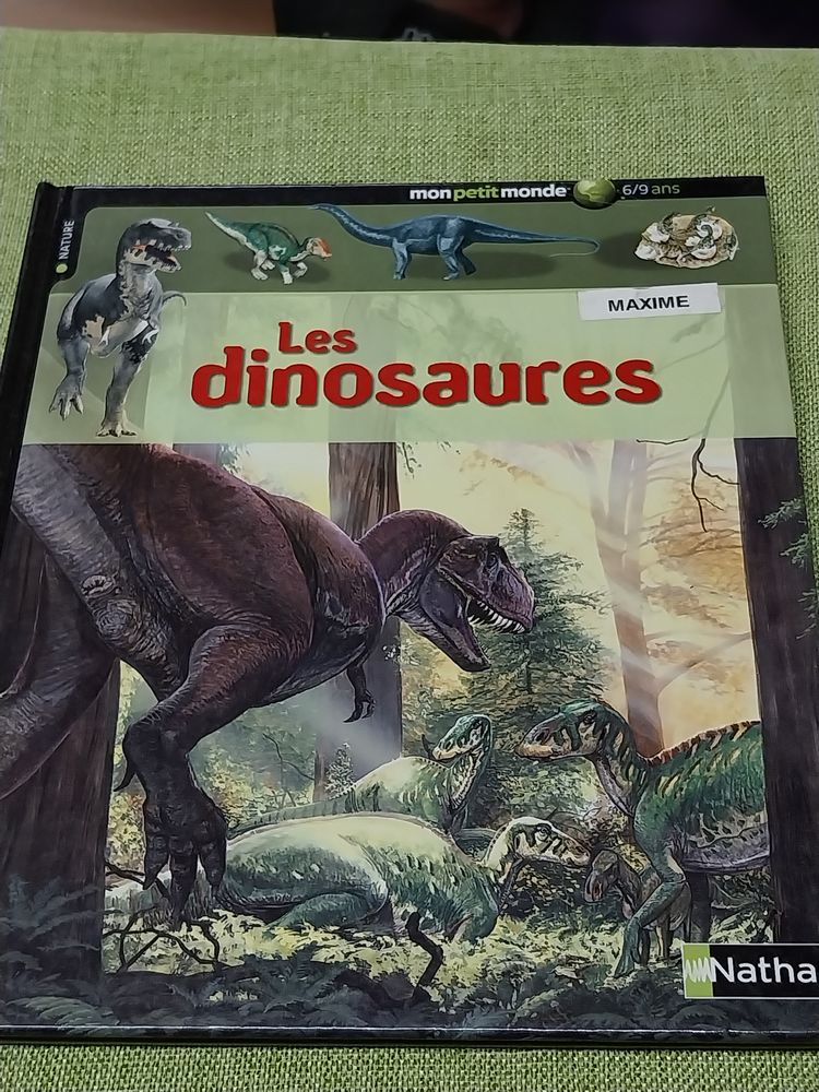Dinosaures livre l'univers fascinant des animaux Christopher 5 Montigny-sur-Avre (28)