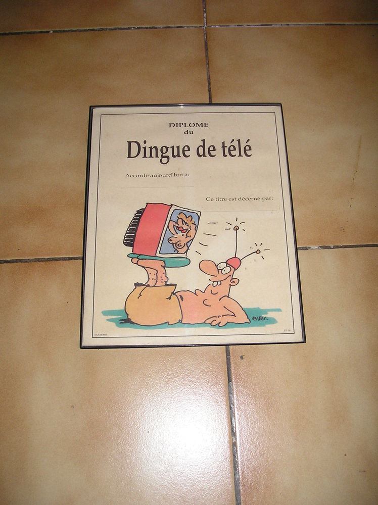 Dipl�me du Dingue de t�l� 
10 Sept�mes-les-Vallons (13)