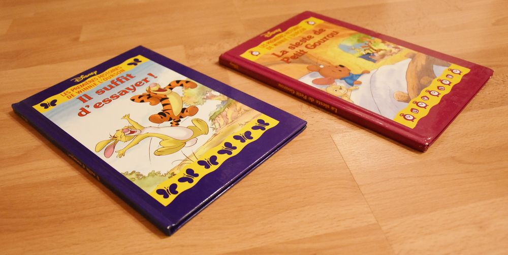 DISNEY. 2 livres Winnie l'ourson. Disney. Tr�s bon �tat 5 Gujan-Mestras (33)