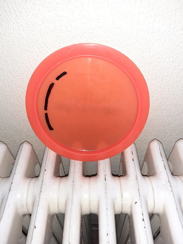 Disque dynamique escapade lucide 10 Ch�nehutte-Tr�ves-Cunault (49)