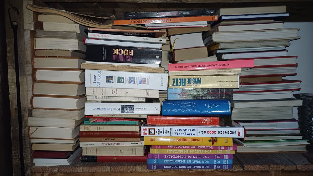 Lot de disques et livre 50 Saint-Paul-en-G�tine (79)