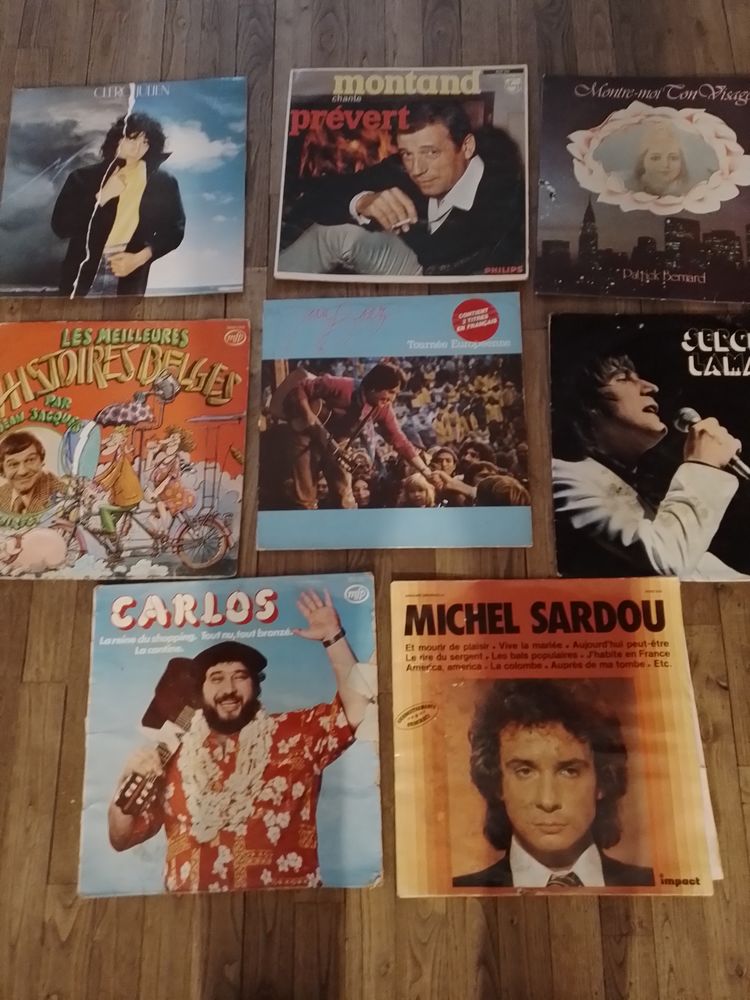 disques vinyles 50 Pineuilh (33)