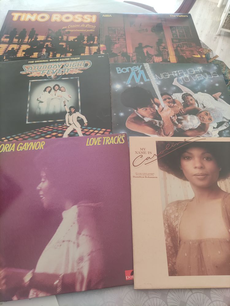 Disques vinyls 33 T 100 Mably (42)