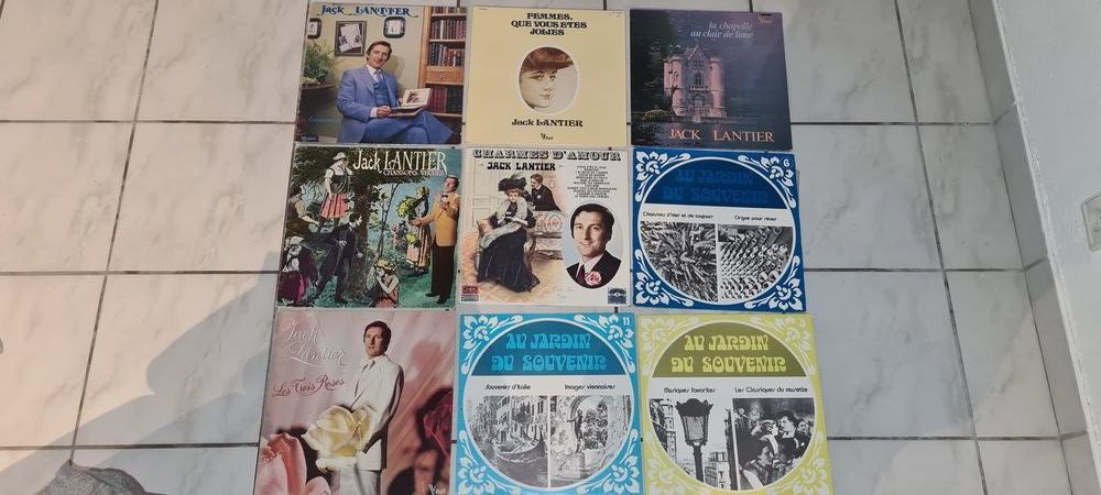 Divers disques vinyle 10 Pau (64)