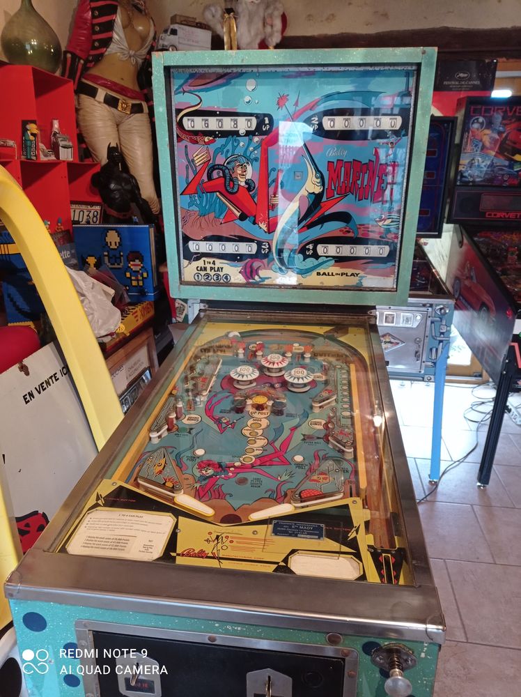 Divers Flippers r�vis�s et fonctionnels 1500 Argenton-sur-Creuse (36)