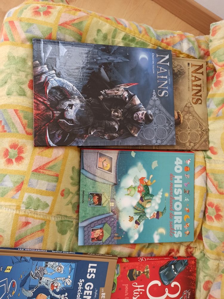 divers livres 1 Saint-Caradec (22)